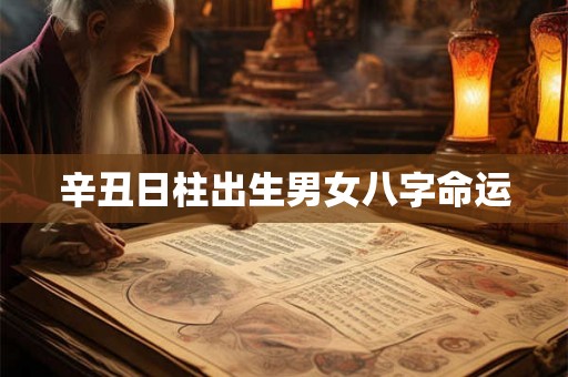辛丑日柱出生男女八字命运 辛丑日柱出生男女八字命运