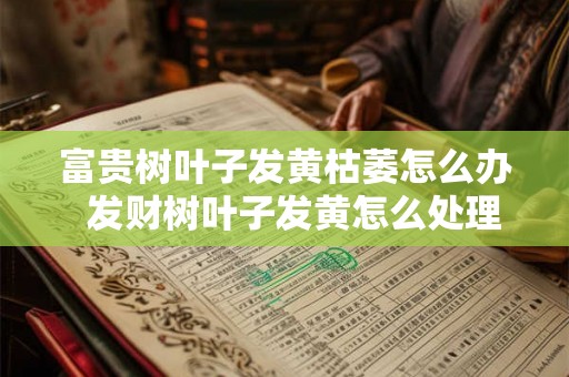 富贵树叶子发黄枯萎怎么办 发财树叶子发黄怎么处理怎么补救 富贵树叶子发黄枯萎怎么办 发财树叶子发黄怎么处理怎么补救