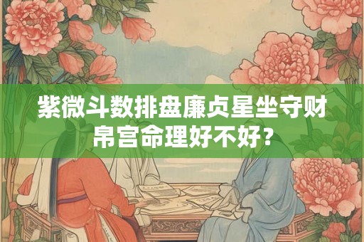 紫微斗数排盘廉贞星坐守财帛宫命理好不好？