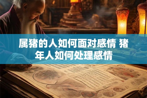 属猪的人如何面对感情 猪年人如何处理感情