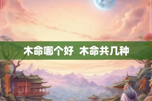木命哪个好  木命共几种