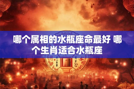 哪个属相的水瓶座命最好 哪个生肖适合水瓶座