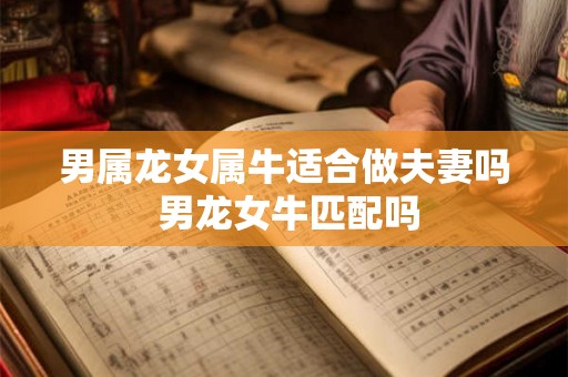 男属龙女属牛适合做夫妻吗 男龙女牛匹配吗 男属龙女属牛适合做夫妻吗 男龙女牛匹配吗