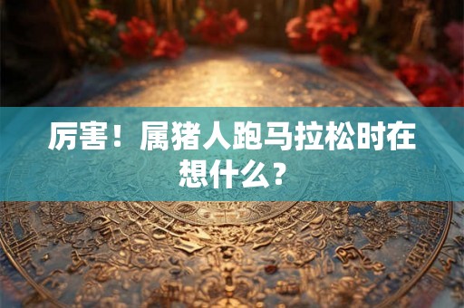 厉害！属猪人跑马拉松时在想什么？