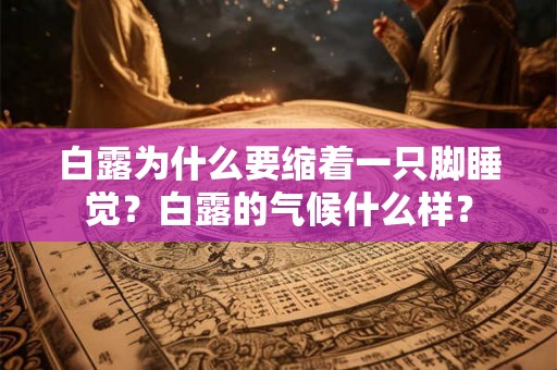 白露为什么要缩着一只脚睡觉?白露的气候什么样? 白露为什么要缩着一只脚睡觉?白露的气候什么样?