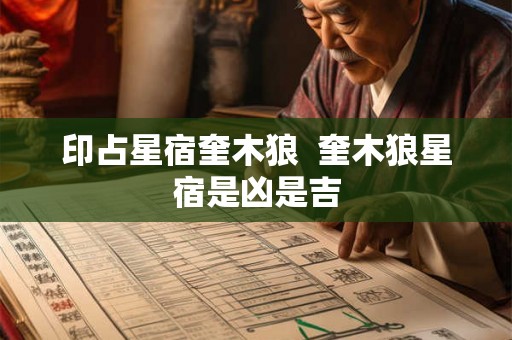 印占星宿奎木狼  奎木狼星宿是凶是吉