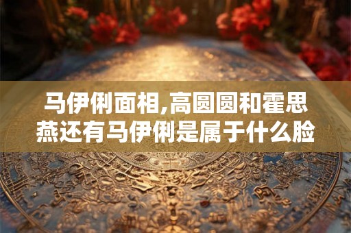 马伊俐面相,高圆圆和霍思燕还有马伊俐是属于什么脸型的