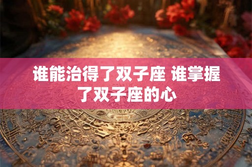 谁能治得了双子座 谁掌握了双子座的心