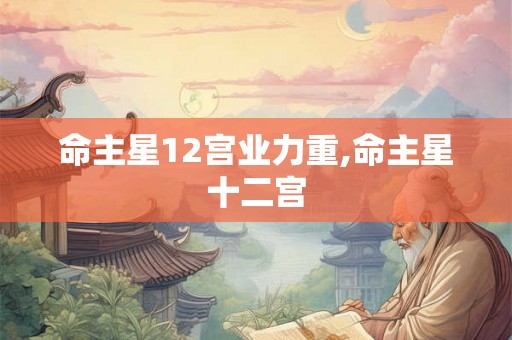 命主星12宫业力重,命主星十二宫
