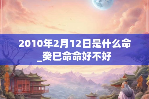2010年2月12日是什么命_癸巳命命好不好 2010年2月12日是什么命_癸巳命命好不好