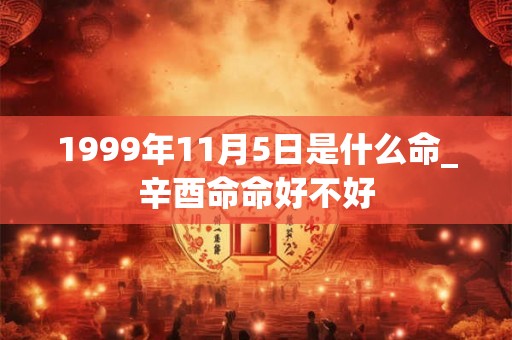 1999年11月5日是什么命_辛酉命命好不好
