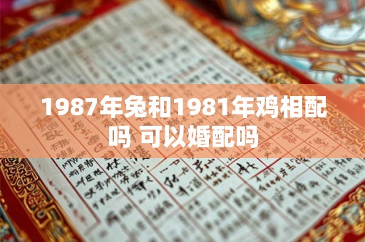 1987年兔和1981年鸡相配吗 可以婚配吗