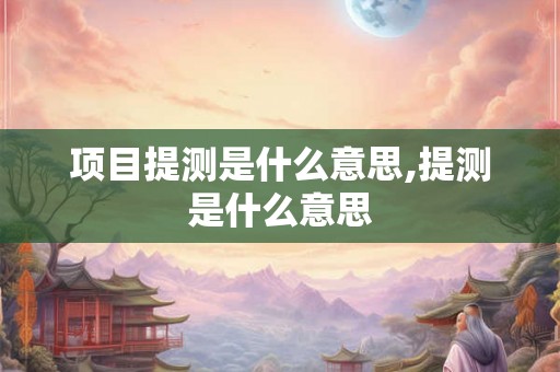 项目提测是什么意思,提测是什么意思