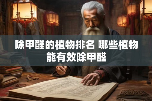 除甲醛的植物排名 哪些植物能有效除甲醛