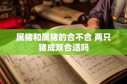 属猪和属猪的合不合 两只猪成双合适吗 属猪和属猪的合不合 两只猪成双合适吗