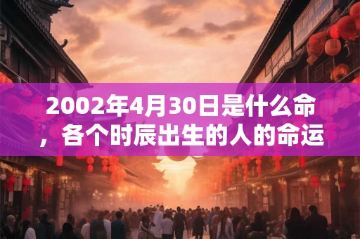 2002年4月30日是什么命，各个时辰出生的人的命运