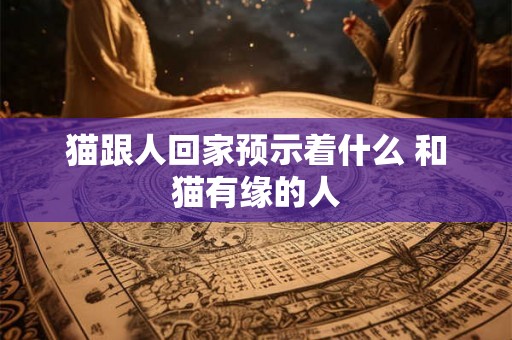 猫跟人回家预示着什么 和猫有缘的人