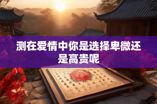 测在爱情中你是选择卑微还是高贵呢