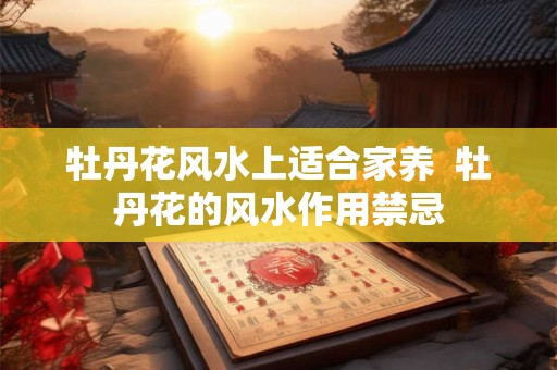 牡丹花风水上适合家养 牡丹花的风水作用禁忌 牡丹花风水上适合家养 牡丹花的风水作用禁忌