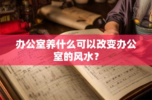办公室养什么可以改变办公室的风水？