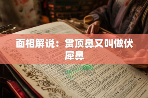面相解说:贯顶鼻又叫做伏犀鼻 面相解说:贯顶鼻又叫做伏犀鼻