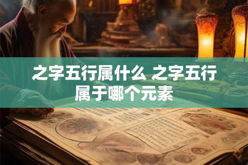 之字五行属什么 之字五行属于哪个元素