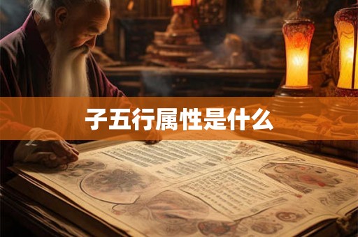 子五行属性是什么
