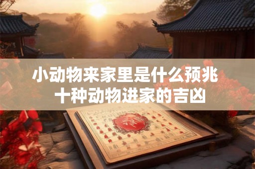 小动物来家里是什么预兆  十种动物进家的吉凶