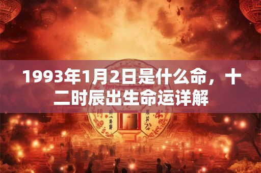 1993年1月2日是什么命,十二时辰出生命运详解 1993年1月2日是什么命,十二时辰出生命运详解