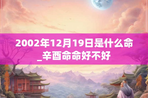 2002年12月19日是什么命_辛酉命命好不好