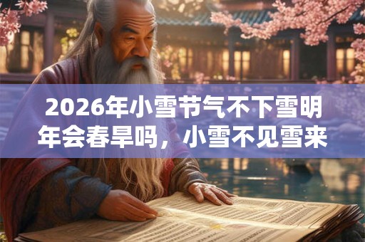 2026年小雪节气不下雪明年会春旱吗，小雪不见雪来年长工歇