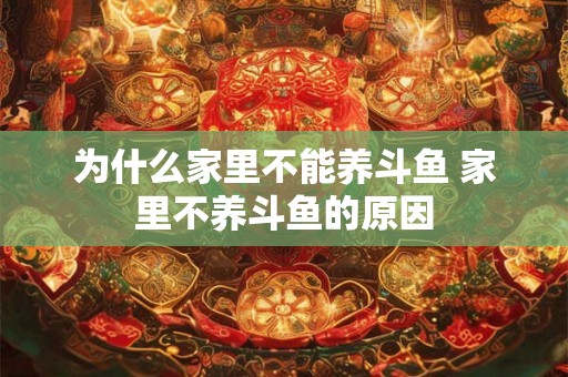 为什么家里不能养斗鱼 家里不养斗鱼的原因 为什么家里不能养斗鱼 家里不养斗鱼的原因