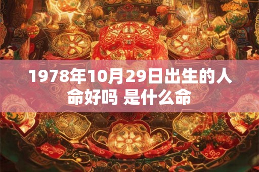 1978年10月29日出生的人命好吗 是什么命