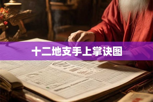 十二地支手上掌诀图