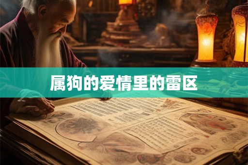属狗的爱情里的雷区