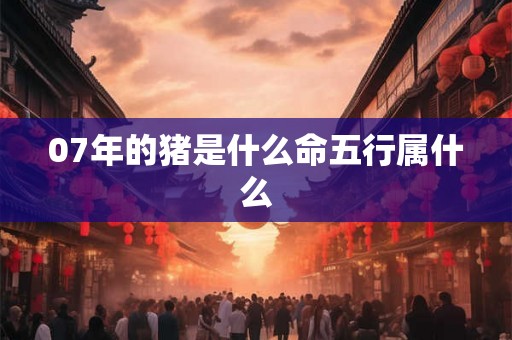 07年的猪是什么命五行属什么