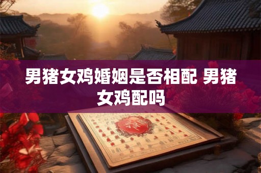 男猪女鸡婚姻是否相配 男猪女鸡配吗