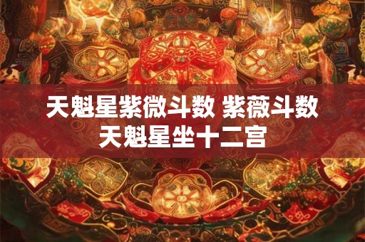 天魁星紫微斗数 紫薇斗数天魁星坐十二宫