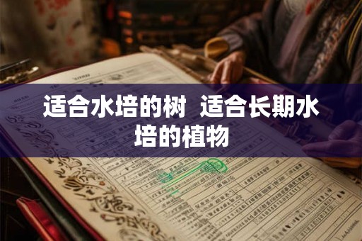 适合水培的树  适合长期水培的植物