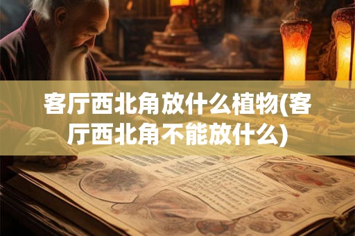 客厅西北角放什么植物(客厅西北角不能放什么)