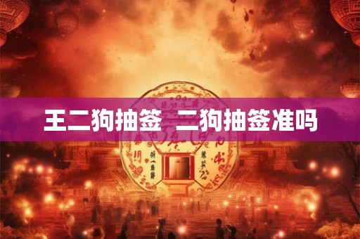 王二狗抽签  二狗抽签准吗