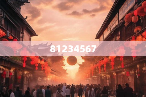 81234567 81234567