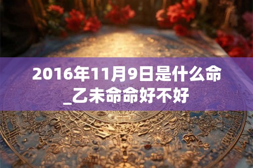 2016年11月9日是什么命_乙未命命好不好