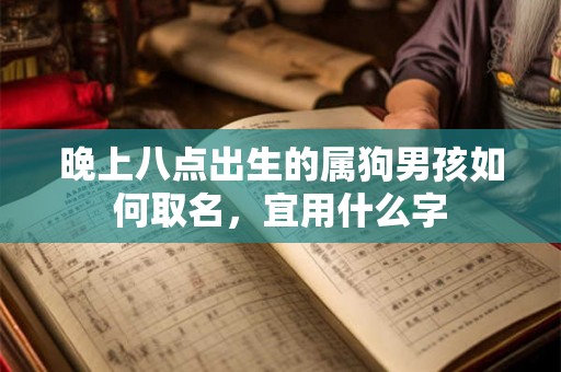 晚上八点出生的属狗男孩如何取名，宜用什么字