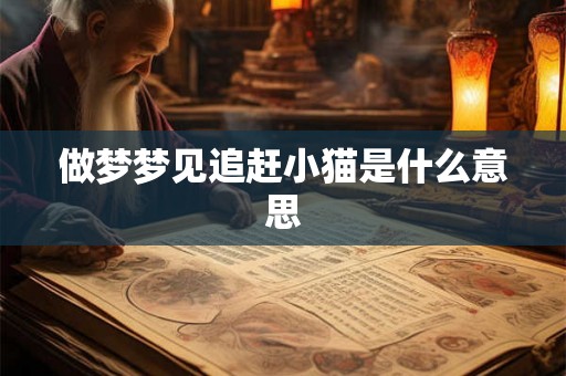 做梦梦见追赶小猫是什么意思