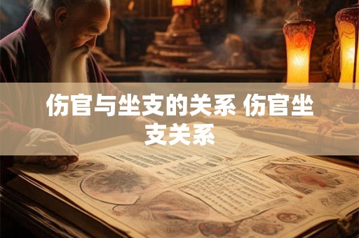 伤官与坐支的关系 伤官坐支关系 伤官与坐支的关系 伤官坐支关系