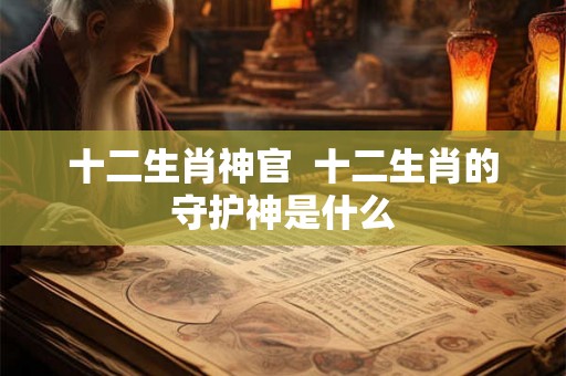 十二生肖神官 十二生肖的守护神是什么 十二生肖神官 十二生肖的守护神是什么