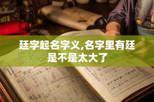廷字起名字义,名字里有廷是不是太大了