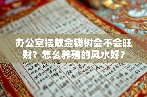 办公室摆放金钱树会不会旺财？怎么养殖的风水好？