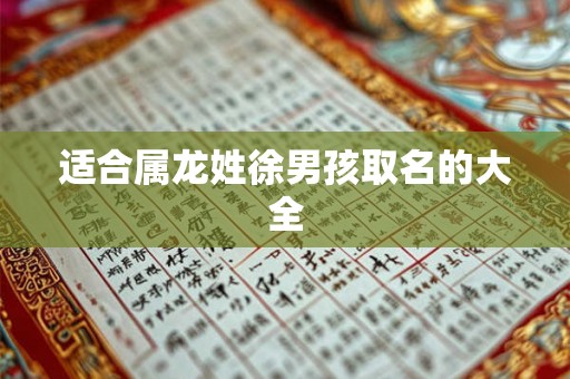适合属龙姓徐男孩取名的大全
